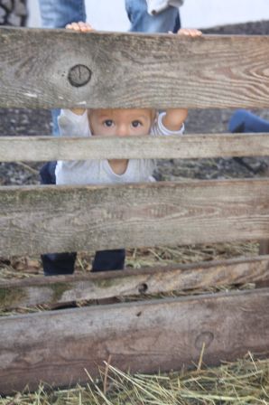coucou-cache.jpg
