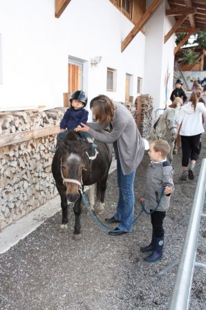 poney-aut.jpg